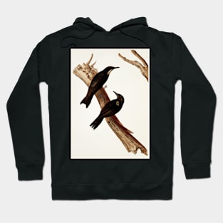 Birds on a Branch Hoodie